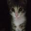 Image of user