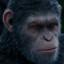 Image of user