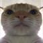 Image of user