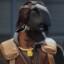 Image of user
