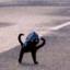Image of user