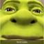 Image of user