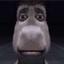 Image of user