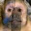 Image of user