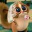Image of user