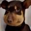 Image of user