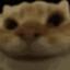 Image of user