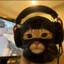 Image of user