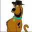 Image of user