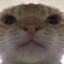 Image of user