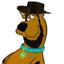Image of user