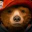 Image of user