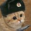 Image of user