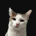 User profile image