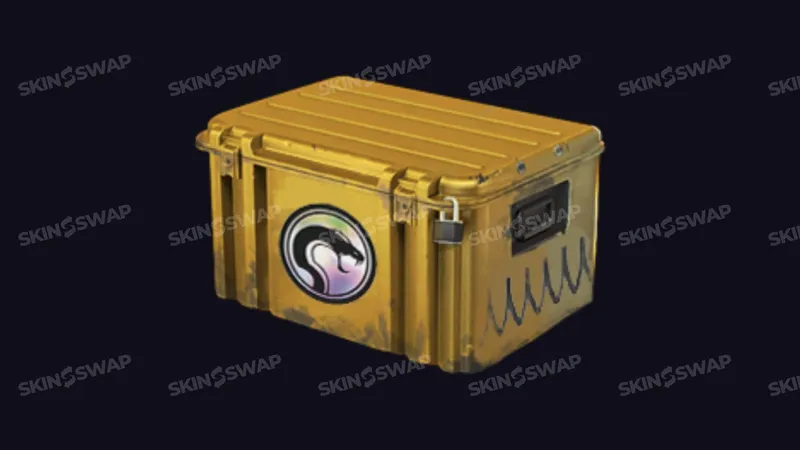Recoil Case skins