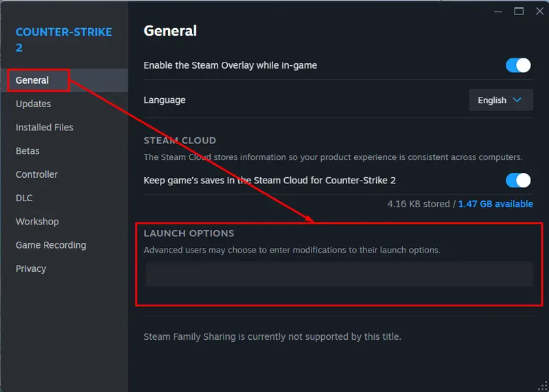 Das Textfeld für Startoptionen im Steam-Client, in dem CS2-Startoptionen eingetragen werden können
